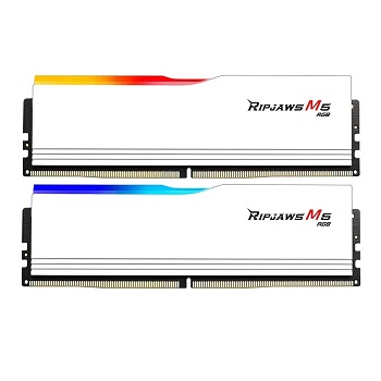 48GB DDR5 5200 GSKILL CL40