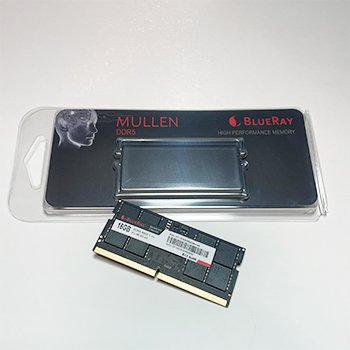 16GB DDR5 5600 BLUERAY CL46